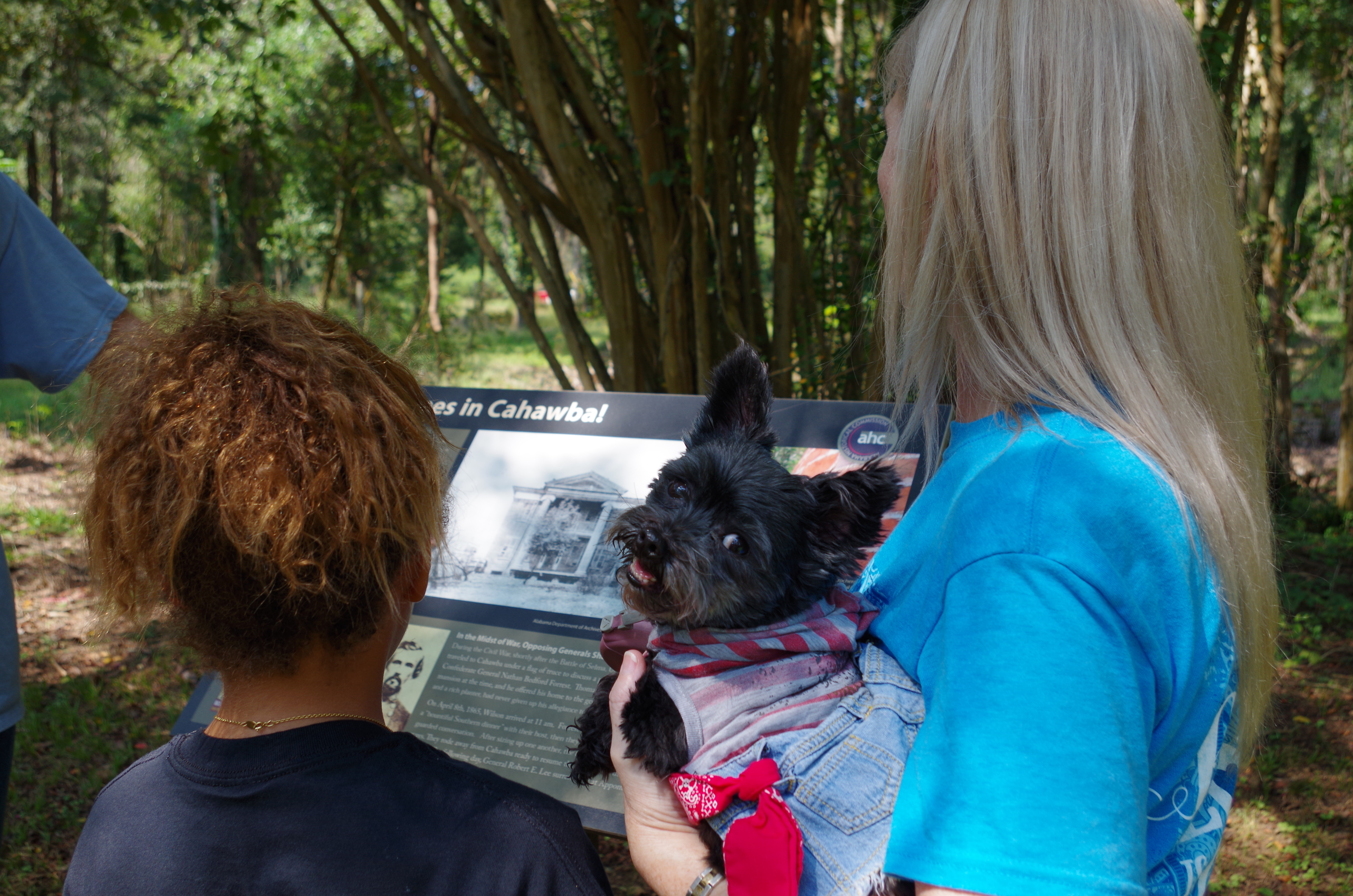 Canines, Camels, Cats, & Critters Wagon Tour of Old Cahawba
